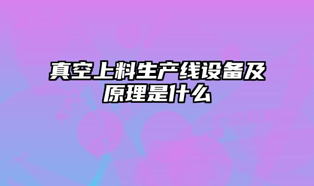 真空上料生產(chǎn)線設(shè)備及原理是什么