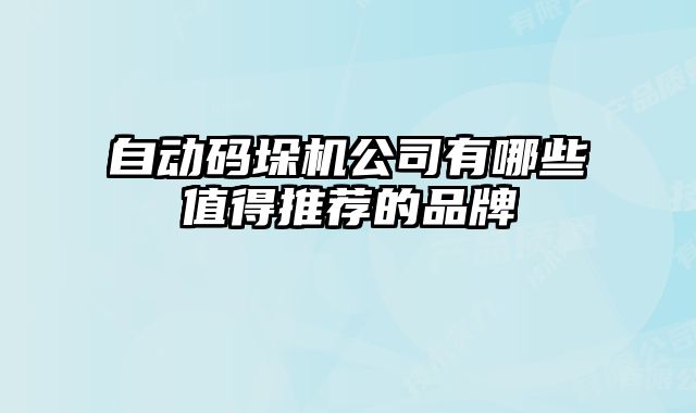 自動(dòng)碼垛機(jī)公司有哪些值得推薦的品牌